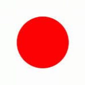 Meet your Posher, Carson